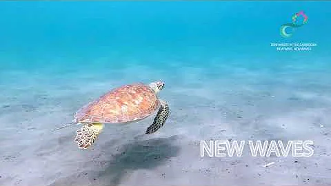 The Zero Waste in the Caribbean Project: Building a Circular Economy for the Region