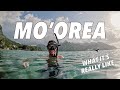 Island life a moorea travel vlog  french polynesia adventure