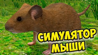 😍СИМУЛЯТОР МЫШИ🐁Починила дом Ухаживаю за питомцем