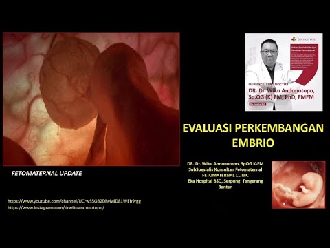 Video: Apakah embrio membincangkan perkembangan embrio dikotil?