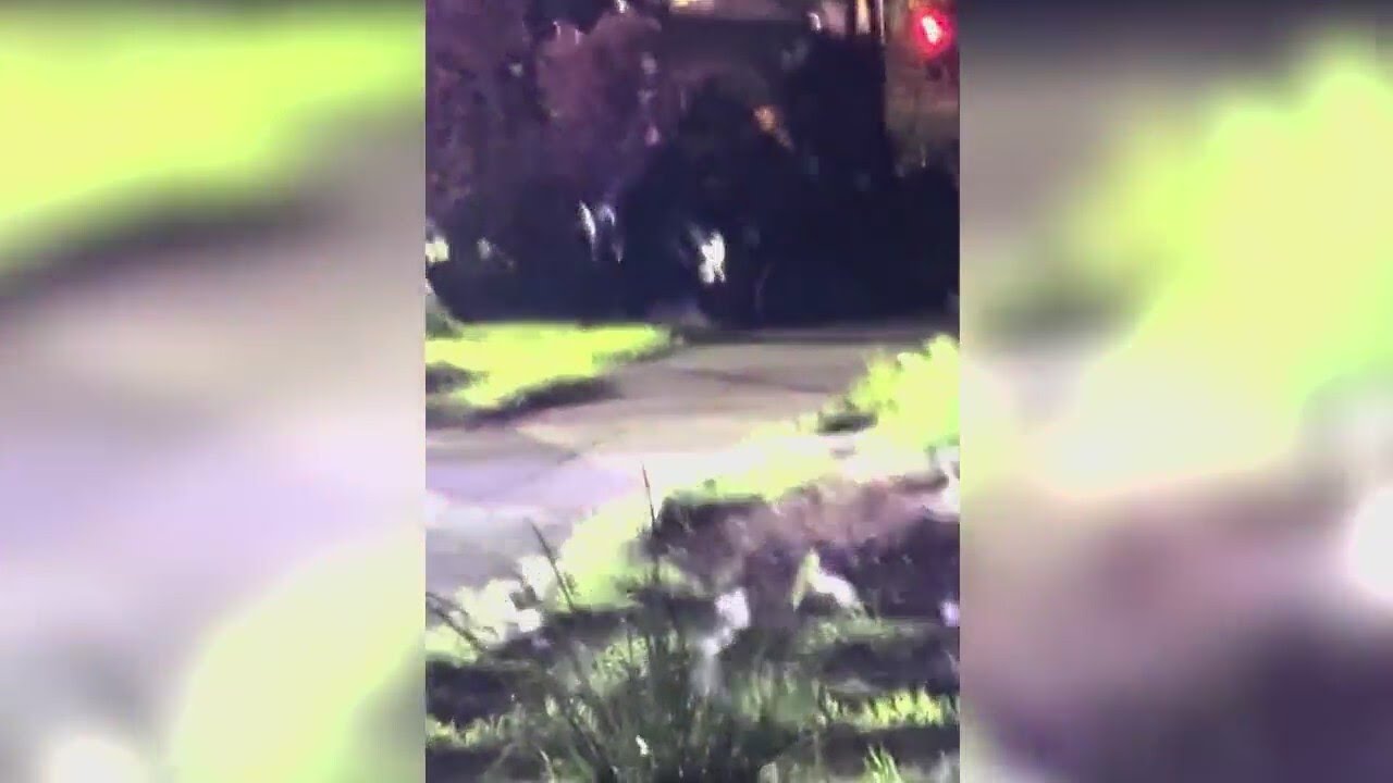 Community leaders speaks out against SJPD's use of force on unhouse man