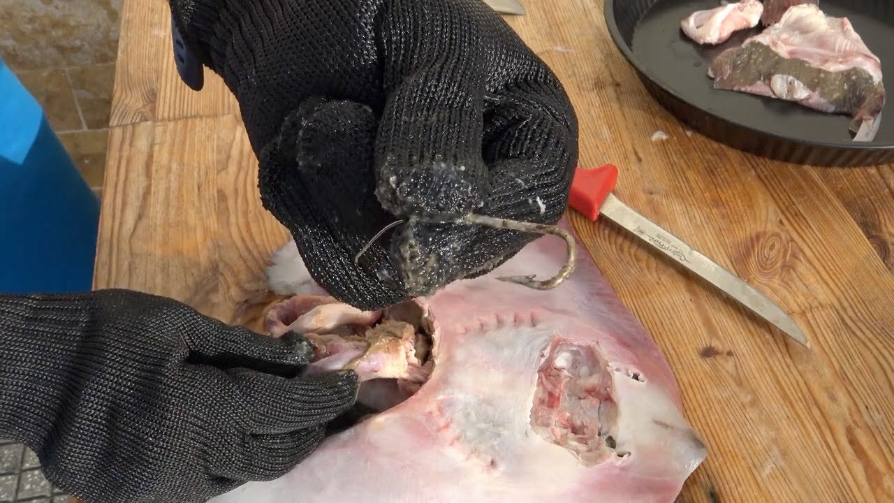 Σαλάχι - ρίνα καθάρισμα  / stingray cutting !!!(4K)