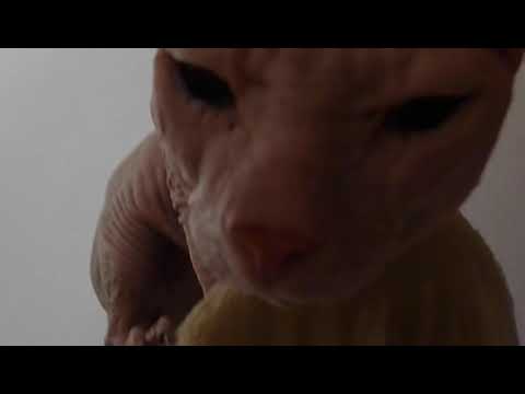 Jan`s Mr.Naked 10.09.2012