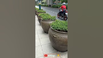 Landscape Design Ideas #landscapedesign #landscapedesignideas