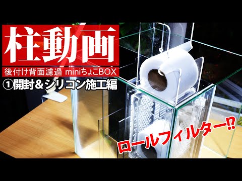 ロールフィルターが入る？後付け背面濾過BOXを辛口レビュー