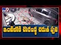 Caught on camera: Leopard enters home to hunt pet dog in Tamil Nadu