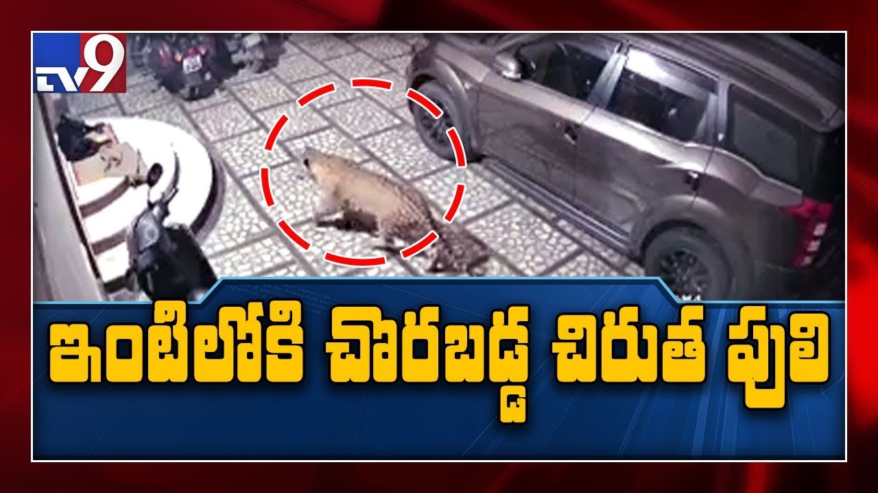 Caught on camera  Leopard enters home to hunt pet dog in Tamil Nadu   TV9