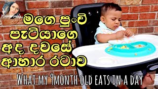 what my 9 month old baby EATS IN A DAY (Sinhala) | මාස 9 පුංචි පුතාගෙ දවසේ ආහාර රටාව | MommaMandy