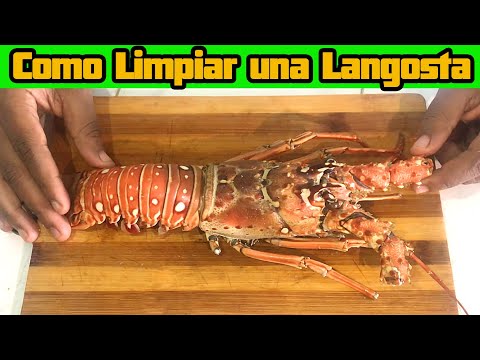 Video: ¿Necesitas limpiar una langosta antes de cocinarla?