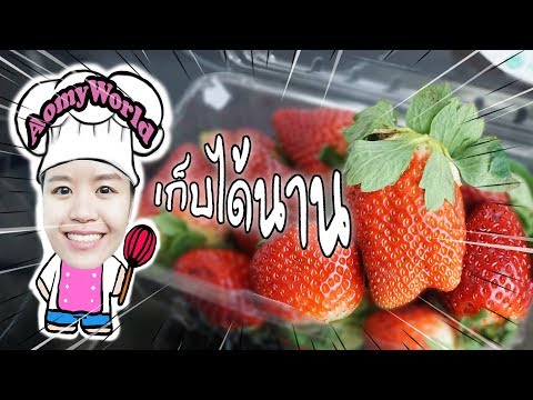 วิธีเก็บสตอเบอร์รี่ให้อยู่นาน ครึ่งเดือน | ออมมี่ รีวิว | Aomyworld