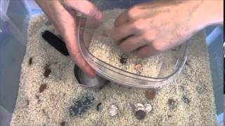 Buried Treasure | Counting Money Game for Kids (Pirate Math Fun) screenshot 5