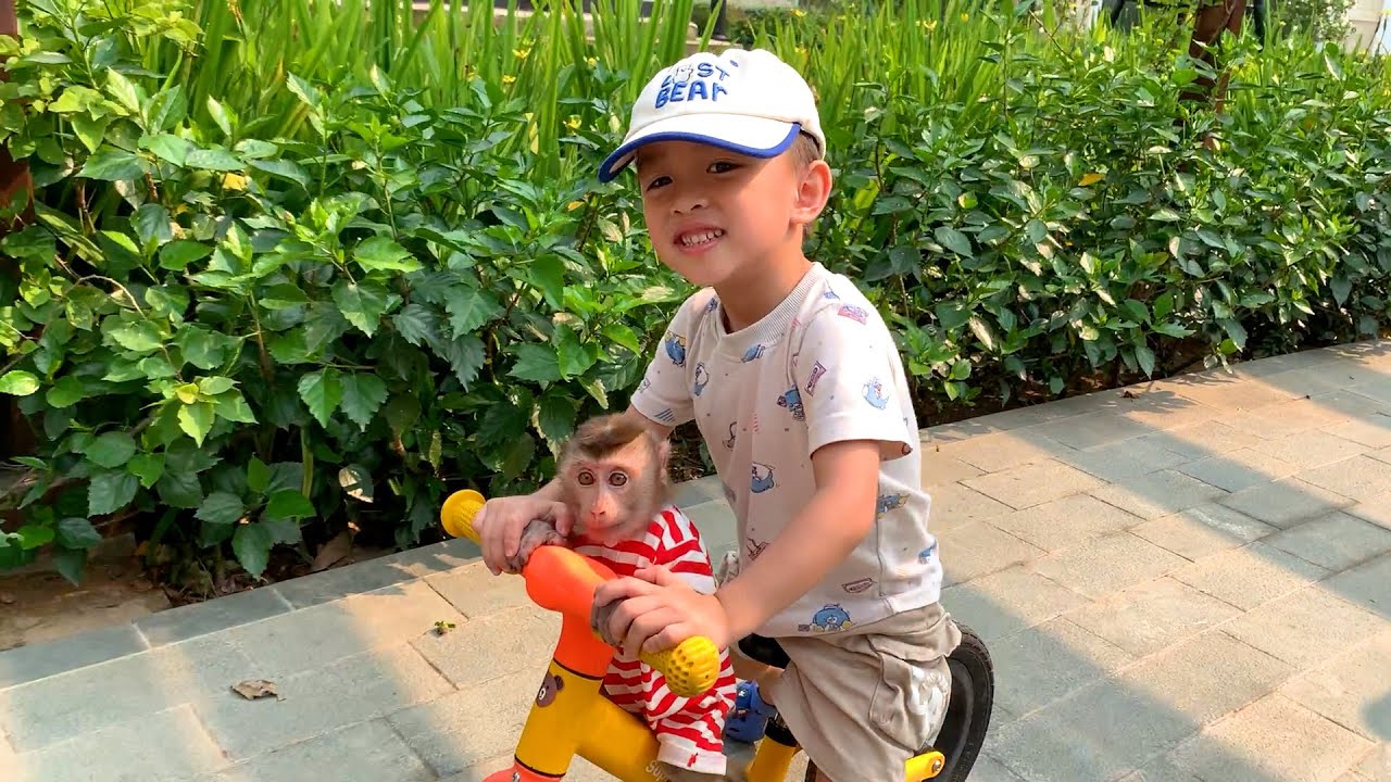 Monkey Puka walks around the Park with Mom and Khang