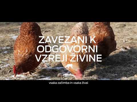 Video: Ali je poševno kmetijstvo trajnostno?