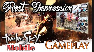 Twelve Sky Mobile Review First Impression & Gameplay screenshot 4