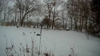 2018 snowlapse