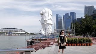 Статую Мерлиона в Сингапуре реставрируют в 2019 году.
