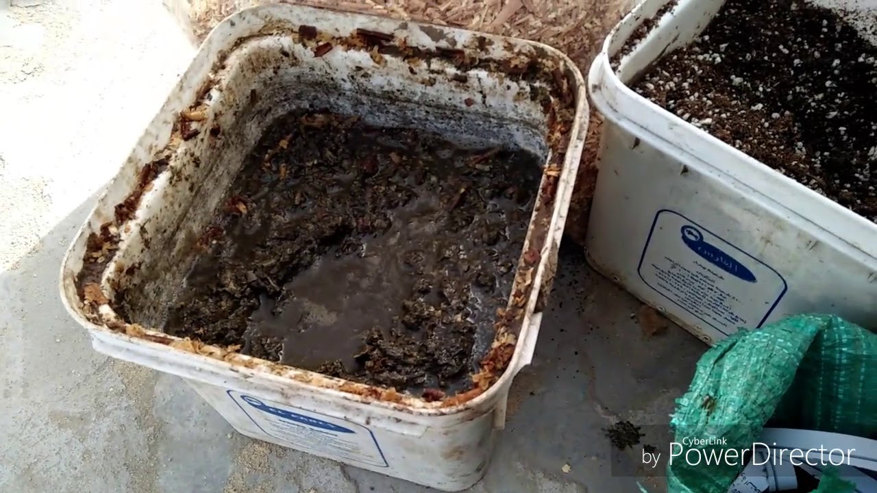 خطوات انشاء مزرعة لدود الكمبوست وانتاج الفيرمي