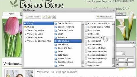 How to add site counters with website builder ezweb123.com