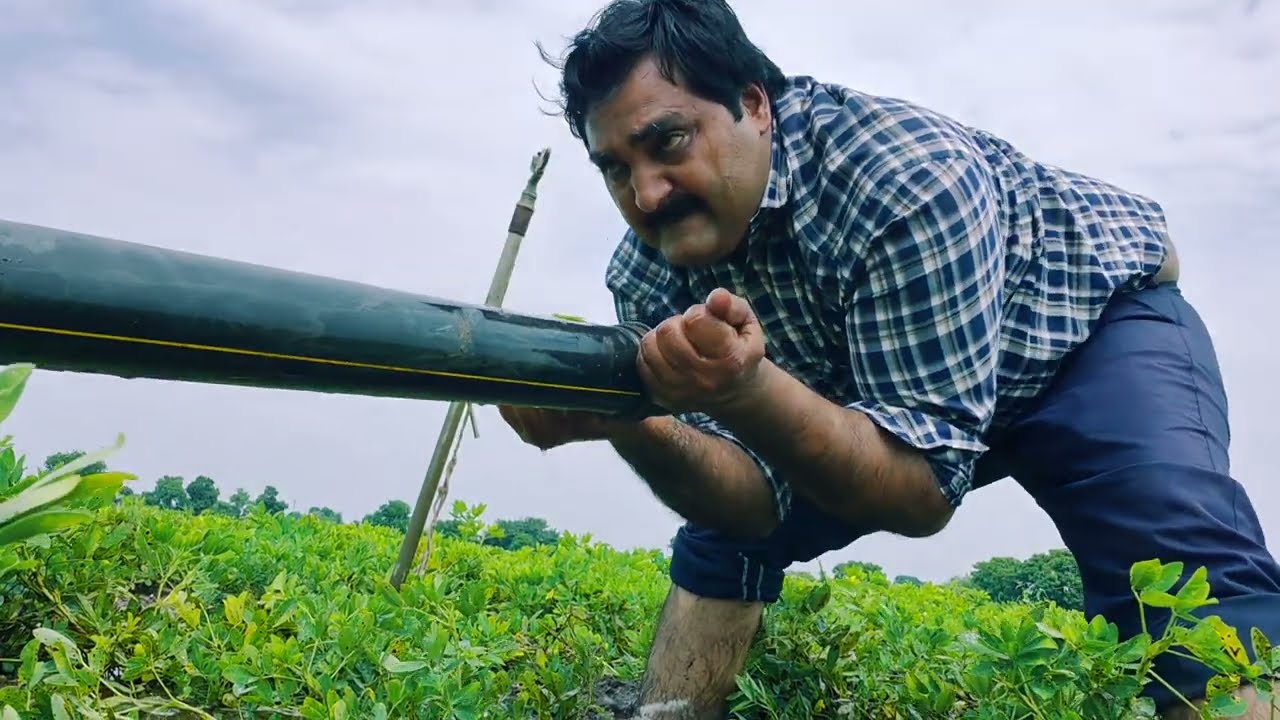 Indian farmers work so hard in the heat, while American farmers don't.