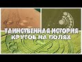 Таинственная история кругов на полях