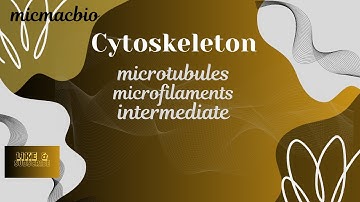 Cell Cytoskeleton Structure & Functions || Microtubules || Thin, Thick and Intermediate Filaments