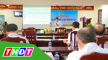 Đồng Tháp: Tập huấn nghiệp vụ hội thẩm hai cấp | THDT
