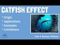Business School 101: The Catfish Effect