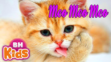 Rửa Mặt Như Mèo Remix ♫ Nhạc Thiếu Nhi Meo Meo Meo