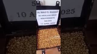Environmental Impact Assessment