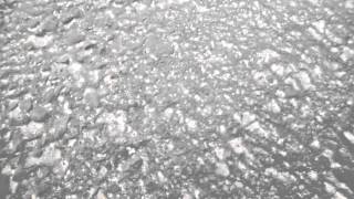 WA ST ASH- METEOR DUST. PT 1a.7