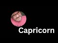 Capricorn  ♑️   You being single, creates an uneven number at the dinner table.  A Stepford vibe?