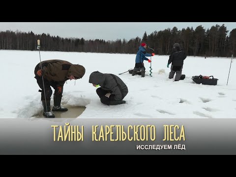 ИССЛЕДУЕМ ЛЁД | Тайны карельского леса