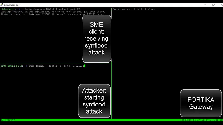 Detection of a SYN Flood Attack