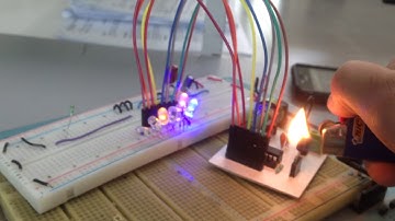 Sensor de Temperatura ADC0804