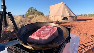 The most beautiful airplane camp of the year (ribeye)
