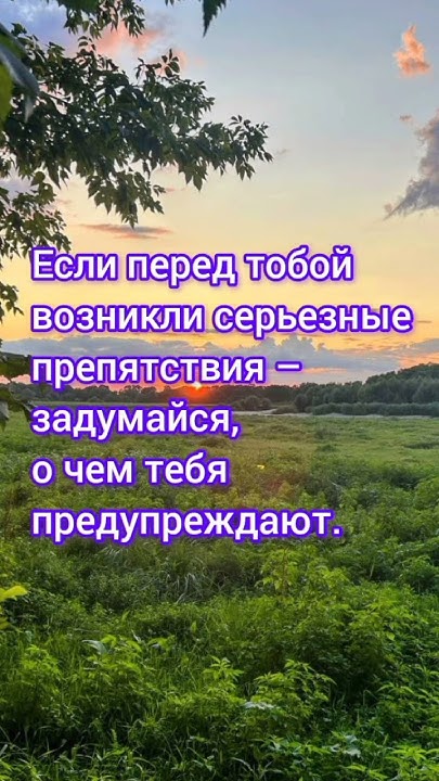 #цитатадня #цитаты #цитатысосмыслом - YouTube