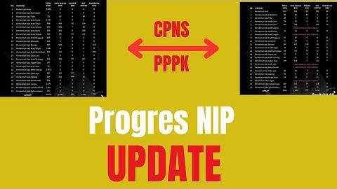 Progres penetapan NIP CPNS dan PPPK 2024