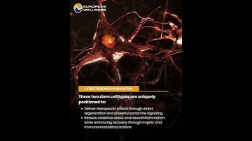 Restoring the Degenerating Brain: Mesenchymal and Neural Stem Cells in Neurotherapeutics