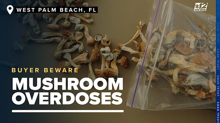 South Florida teens hospitalized: Overdoses on LSD-laced magic mushrooms on the rise
