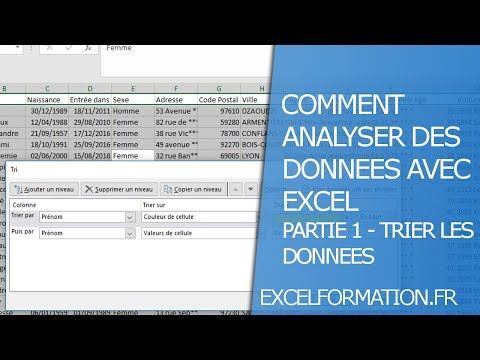 Vidéo: L'analyse des données sera-t-elle automatisée ?