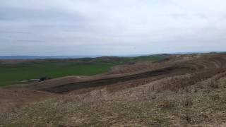 Watching a crop duster from a hilltop.