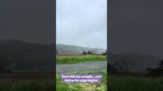Don’t scroll… just listen for a second The wind moves different when the world slows down