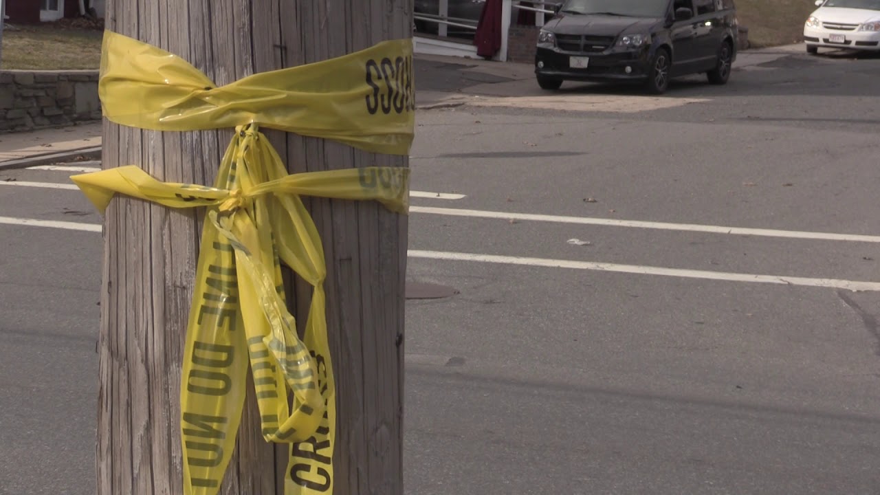 Two Dogs Dead, Woman Injured After Struck By Car - YouTube