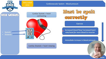 GCSE PE Cardiovascular System Revision