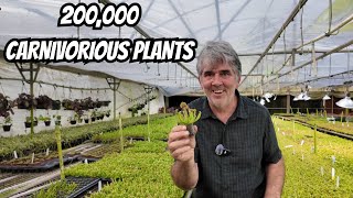 200,000 Carnivorous Plants