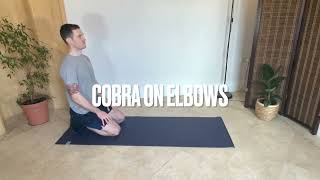 Cobra on Elbows