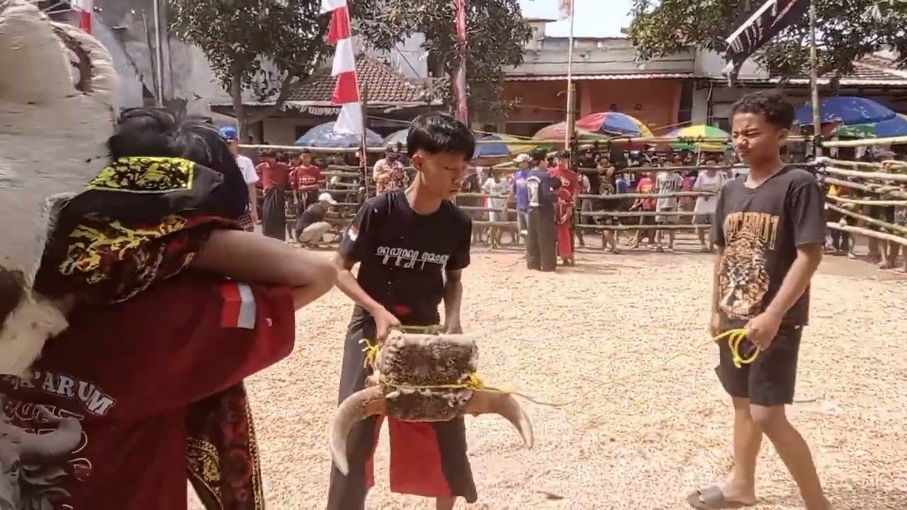 Satrio Teja Arum live lapangan sonik 