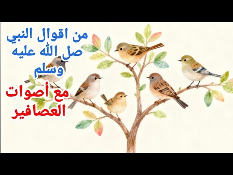 كلمات من نور من أقوال النبي ﷺ مع أصوات العصافير    ﷺ     