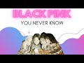 BLACKPINK - YOU NEVER KNOW 1 HOUR LOOP