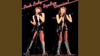 渚のシンドバッド（Live at 日本武道館 1977/12/27）